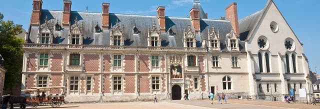 Château de Blois Ticket