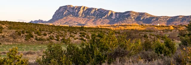 Pic Saint-Loup Excursion + Wine Tasting