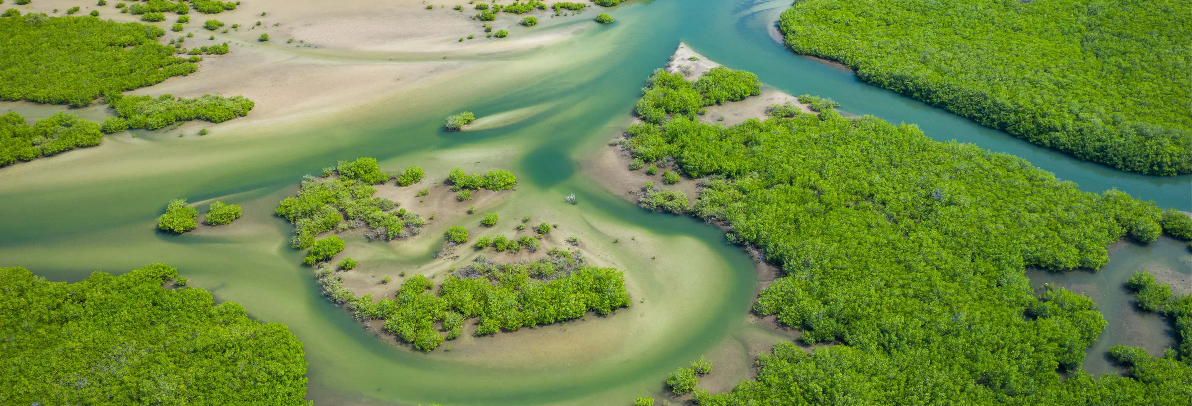 Gambia 4 Tours In 1 Day