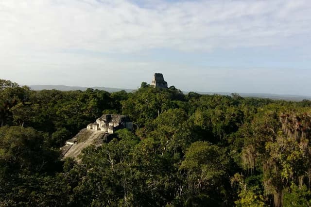 Private Excursions from Flores