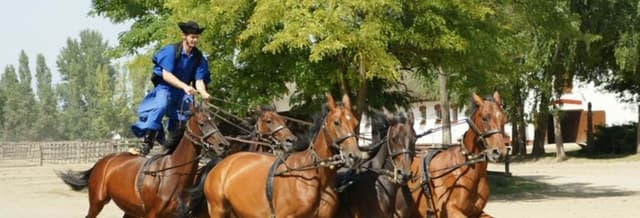 Puszta Day Trip & Equestrian Show