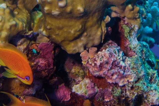Livorno Aquarium Ticket