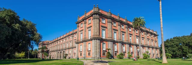 Private Tour of the Capodimonte Museum