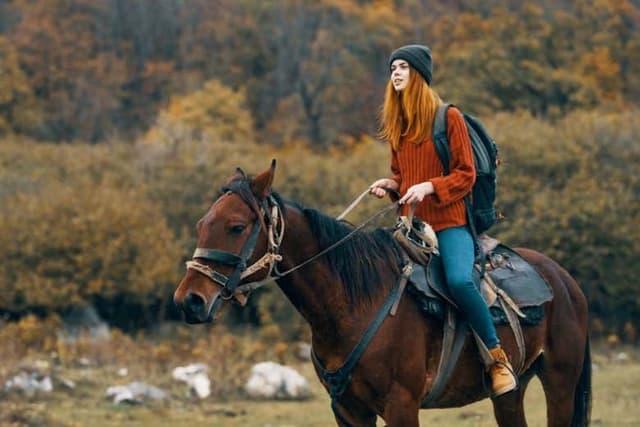 Chianti Horse Riding Tour