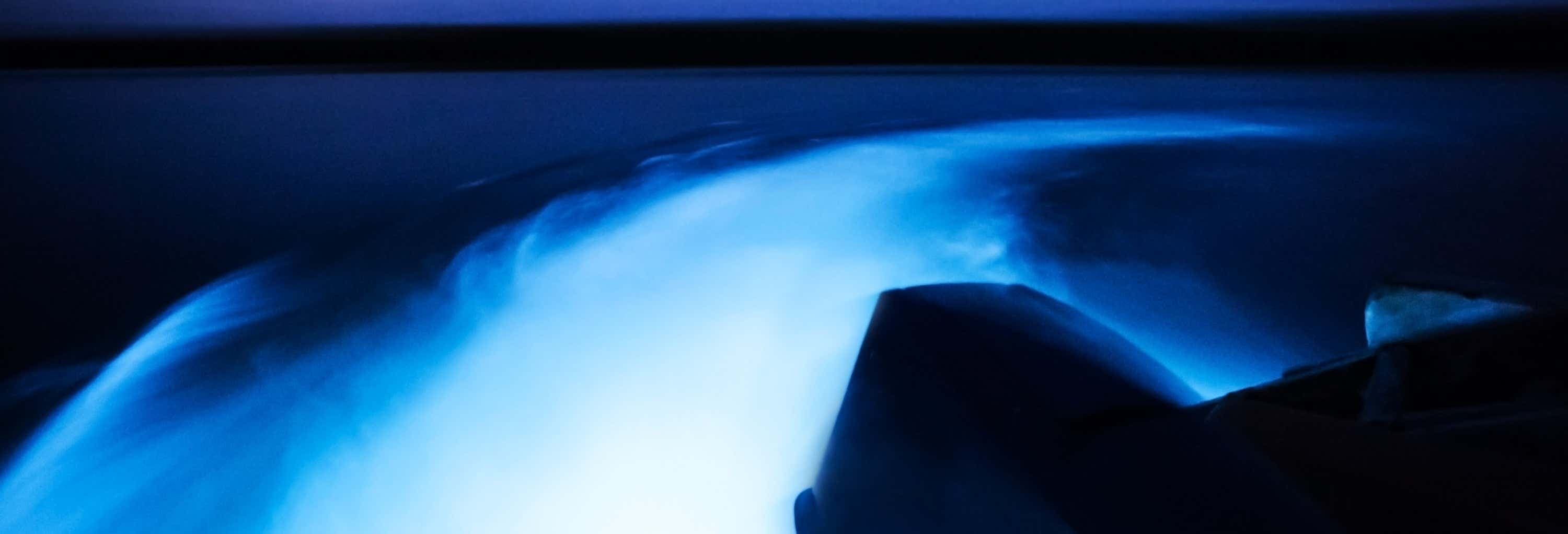 Luminous Lagoon Night Tour in Ocho Rios Paradise