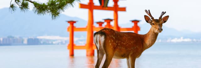 Ferry to Miyajima + Itsukushima Tickets