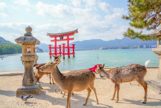 Ferry to Miyajima + Itsukushima Tickets