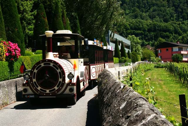 Sightseeing Train Tour of Vaduz