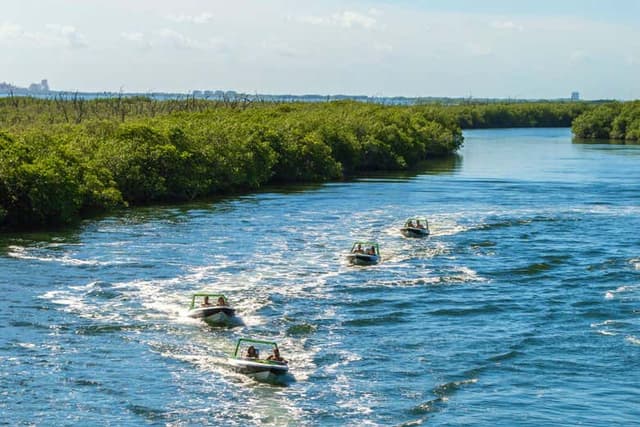 Crocodile Tour in Nichupte Lagoon