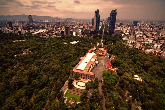 Chapultepec Forest, Zona Rosa + Paseo de la Reforma Free Tour