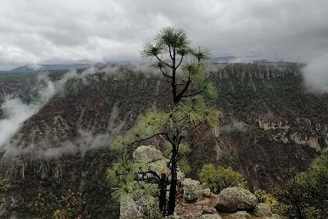 Hiking Through the Tararecua Canyon