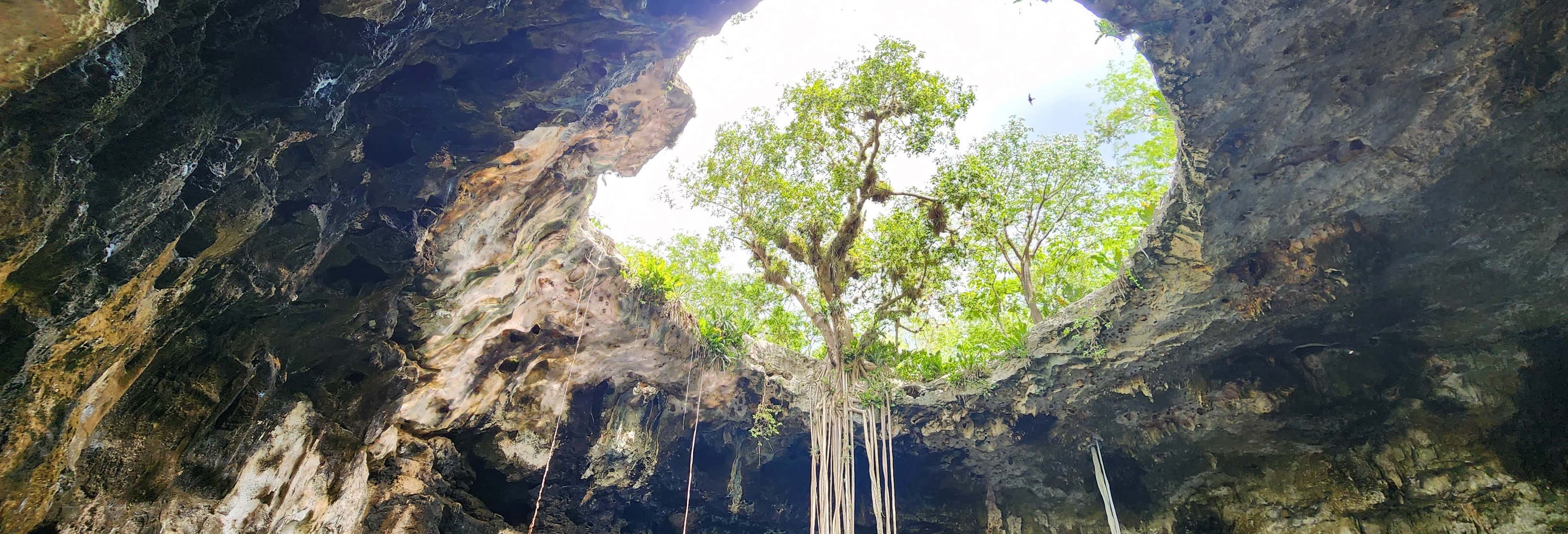 Best Homun Cenotes Tour: Merida's Ultimate Nature Escape