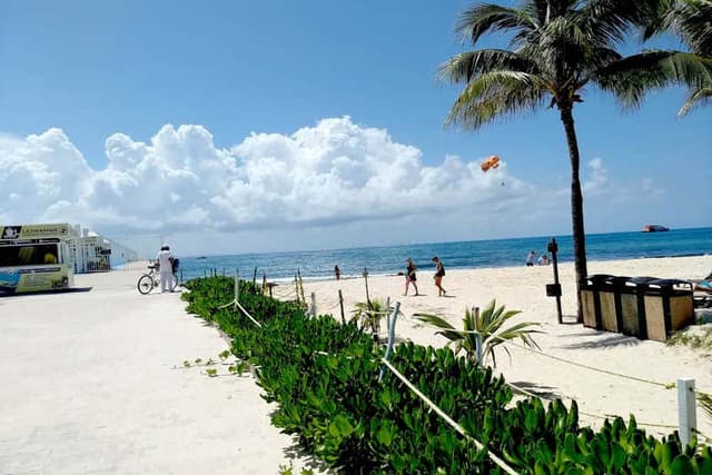 Playa Del Carmen Free Tour