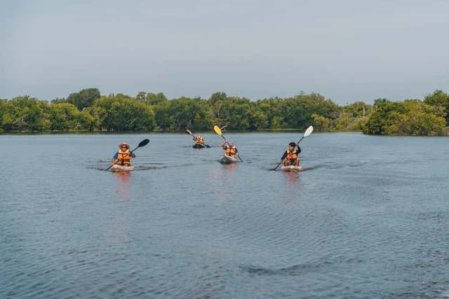 Laguna de Manialtepec Kayak Tour
