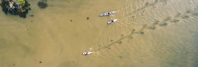 Laguna de Manialtepec Kayak Tour