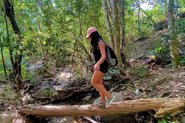 Botanical Gardens + Los Veranos Park Tour