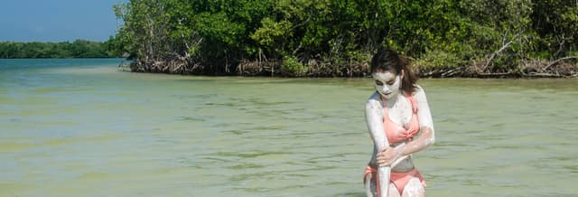 Ria Lagartos Mangroves Mudbath
