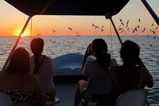 Sunset Cruise