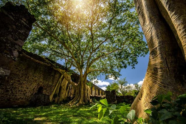 Ex-Hacienda of San Juan Bautista Excursion