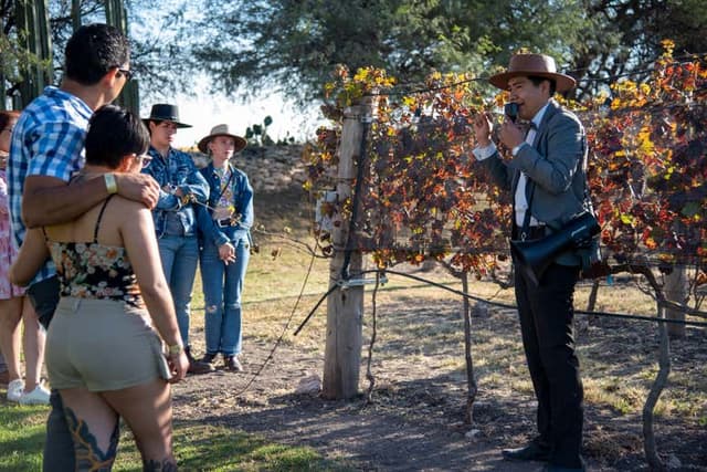 Tequisquiapan Wine Tour