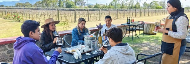 Tequisquiapan Beer & Wine Tour