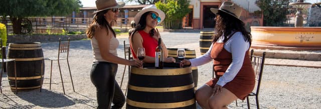 Tequisquiapan Wine Tour