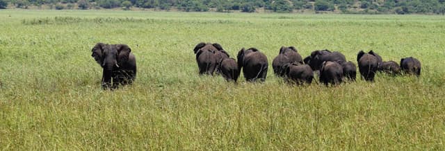 Maputo Special Reserve Private Tour