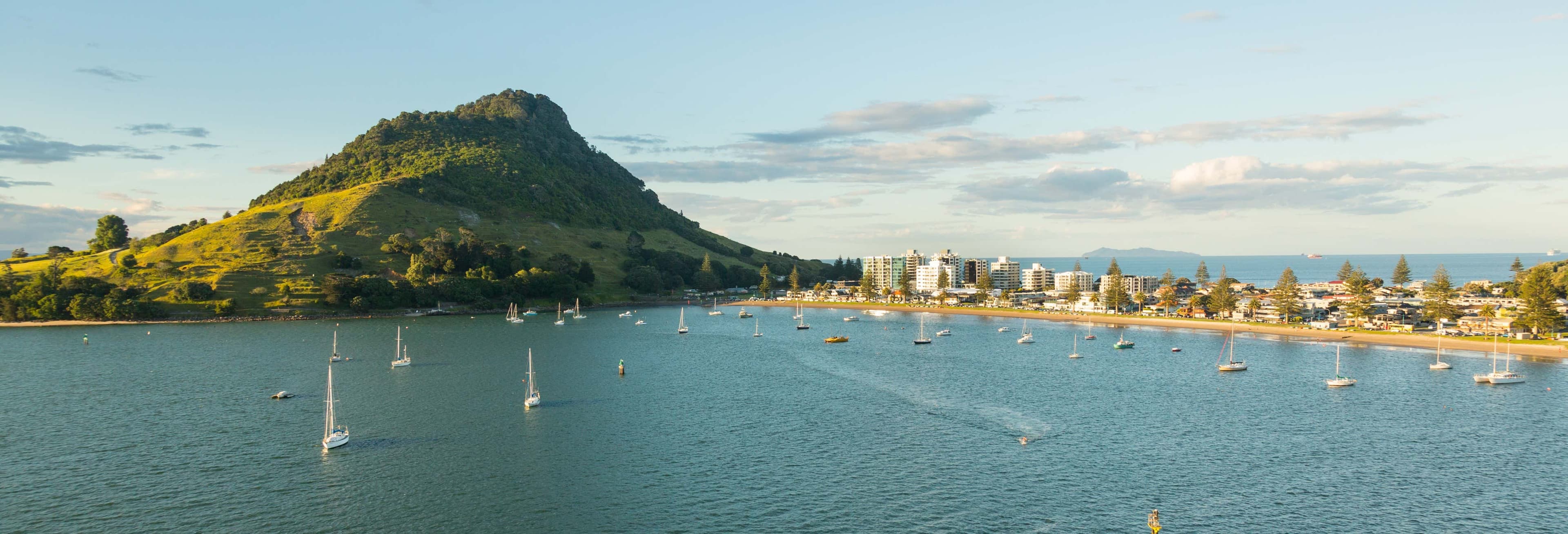 Tauranga Harbour Scenic Cruise