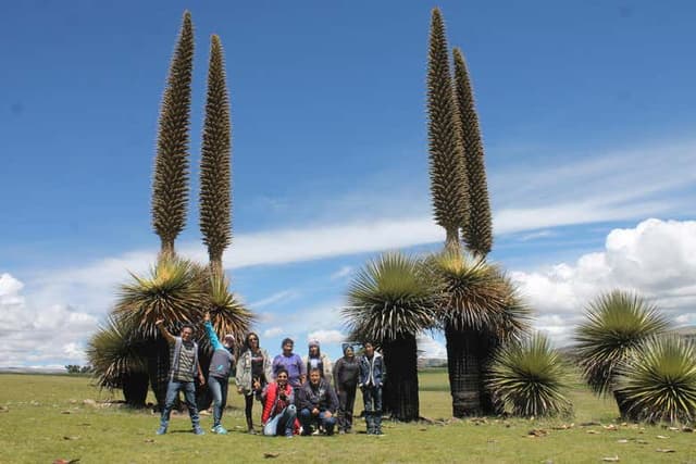 Vilcashuamán and Pumacocha Day Trip