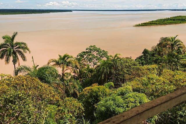Amazon + Itaya Rivers Boat Tour
