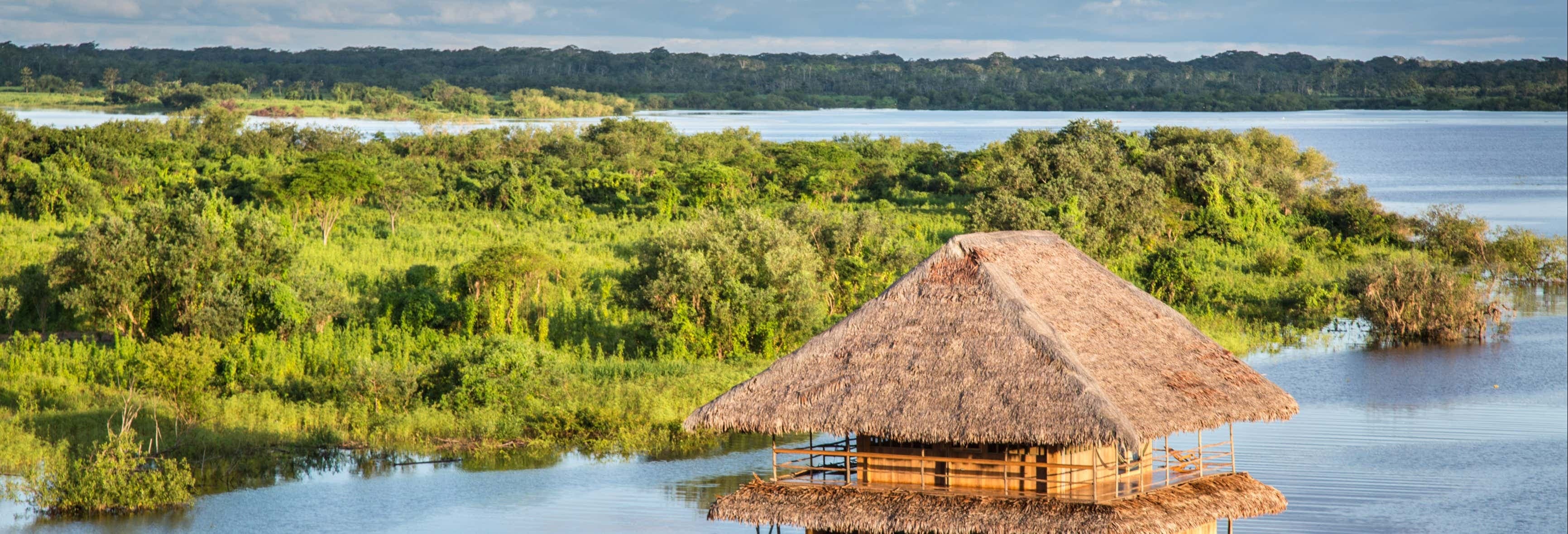 Exclusive 4-Day Private Amazon Jungle Expedition in Iquitos