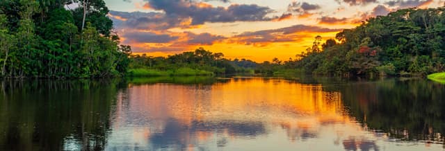 Amazon River: 3 Day Tour