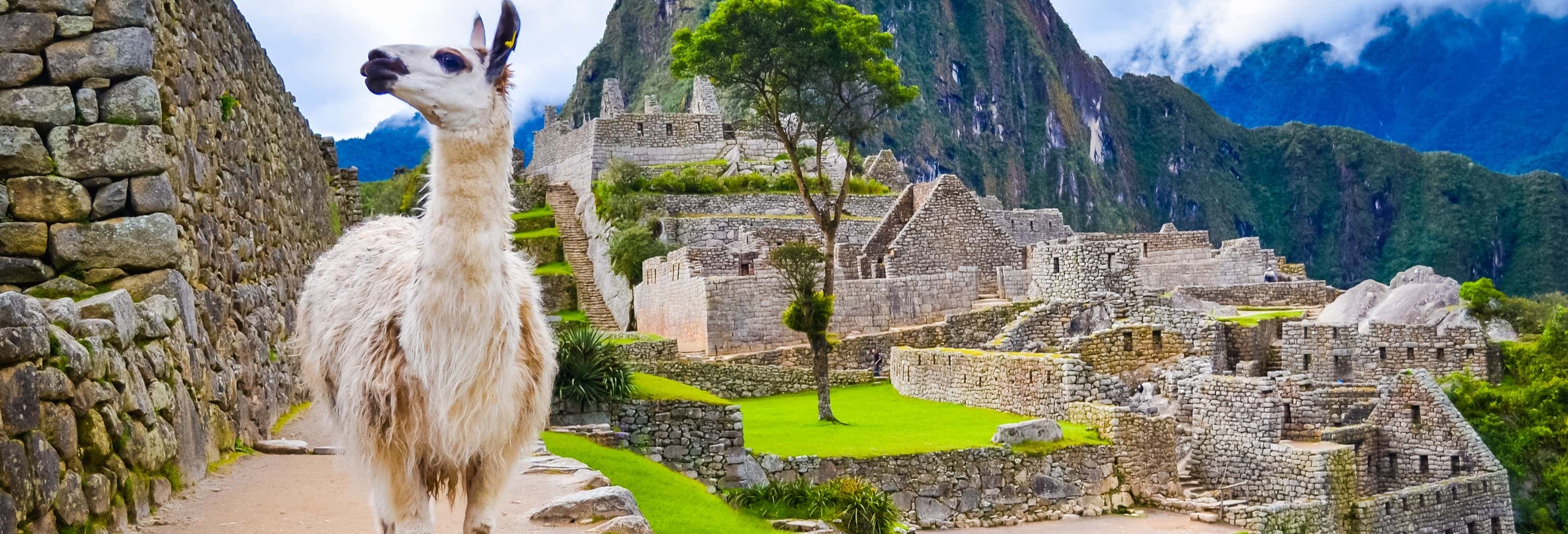 Peru Highlights 7-Day Tour
