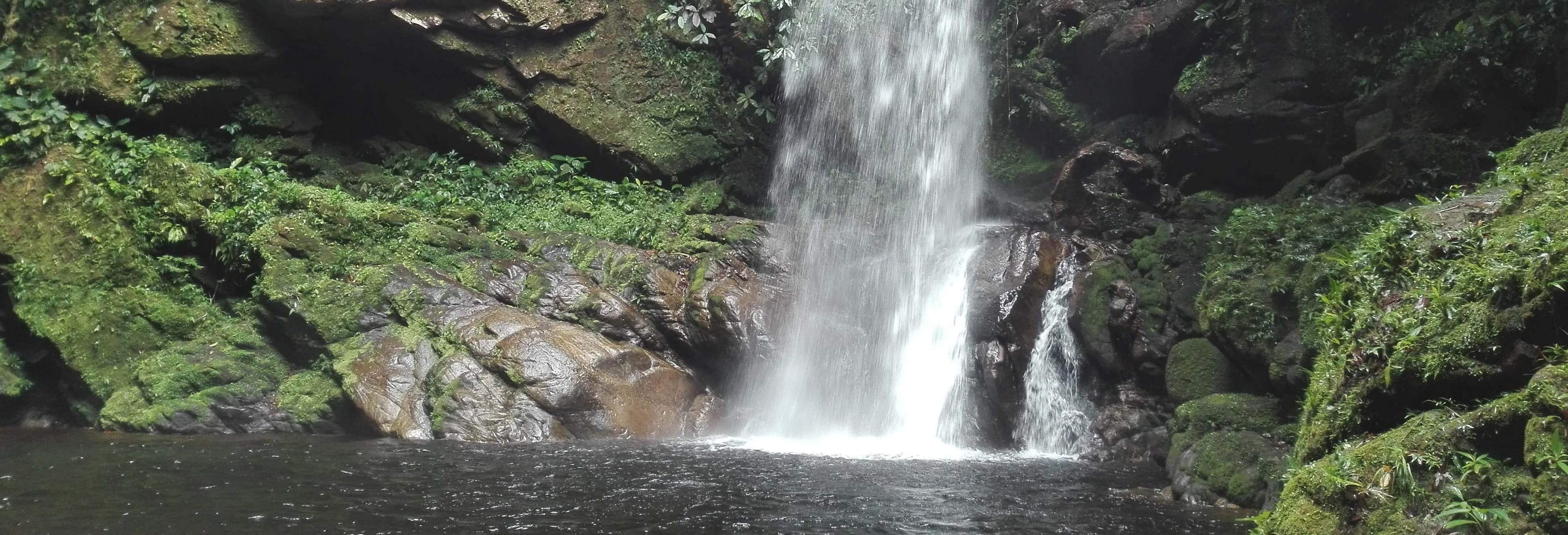 Unforgettable Ahuashiyacu Waterfall Adventure in Tarapoto
