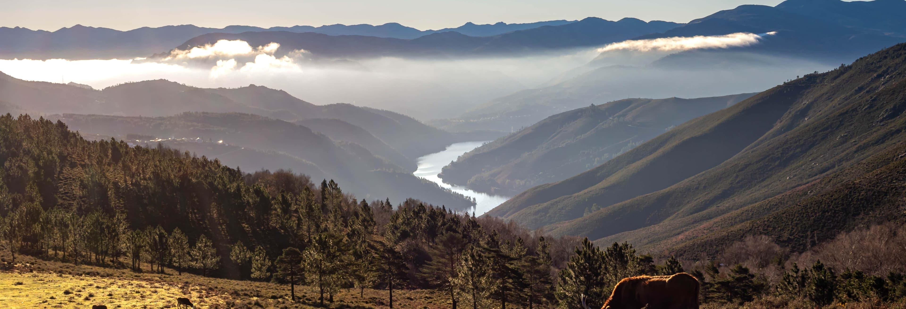 Peneda-Gerês National Park Tour