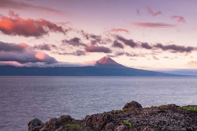 Pico Island Day Trip