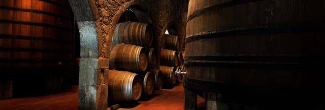 Cálem Wine Cellars Guided Tour