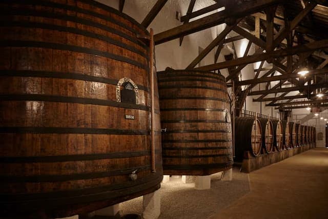 Quinta do Bomfim Winery Tour
