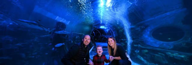 SEA LIFE® Birmingham Tickets