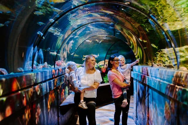 SEA LIFE® Brighton Tickets