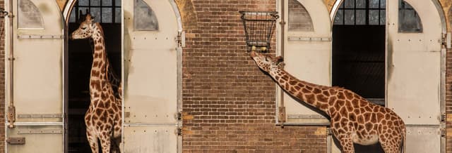 London Zoo Tickets