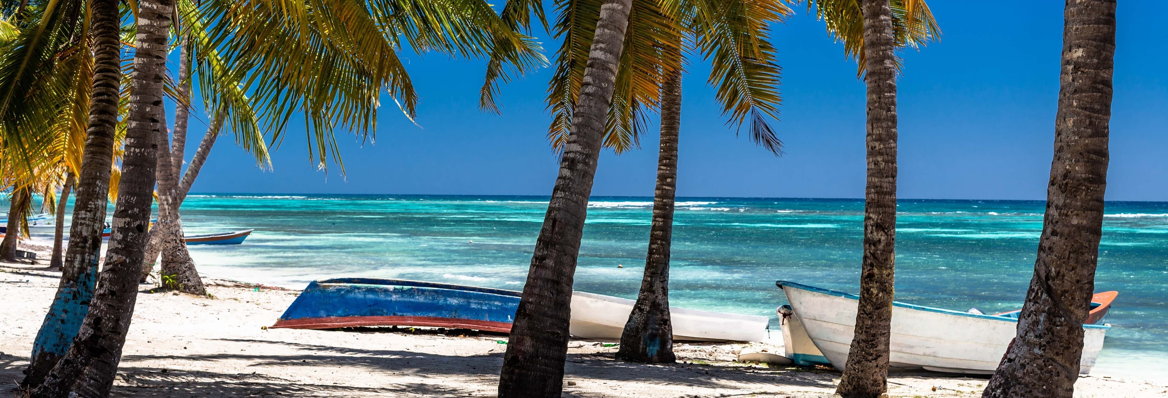 Saona Island Excursion in La Romana: Beach Paradise