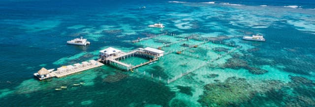 Marinarium Snorkeling Cruise