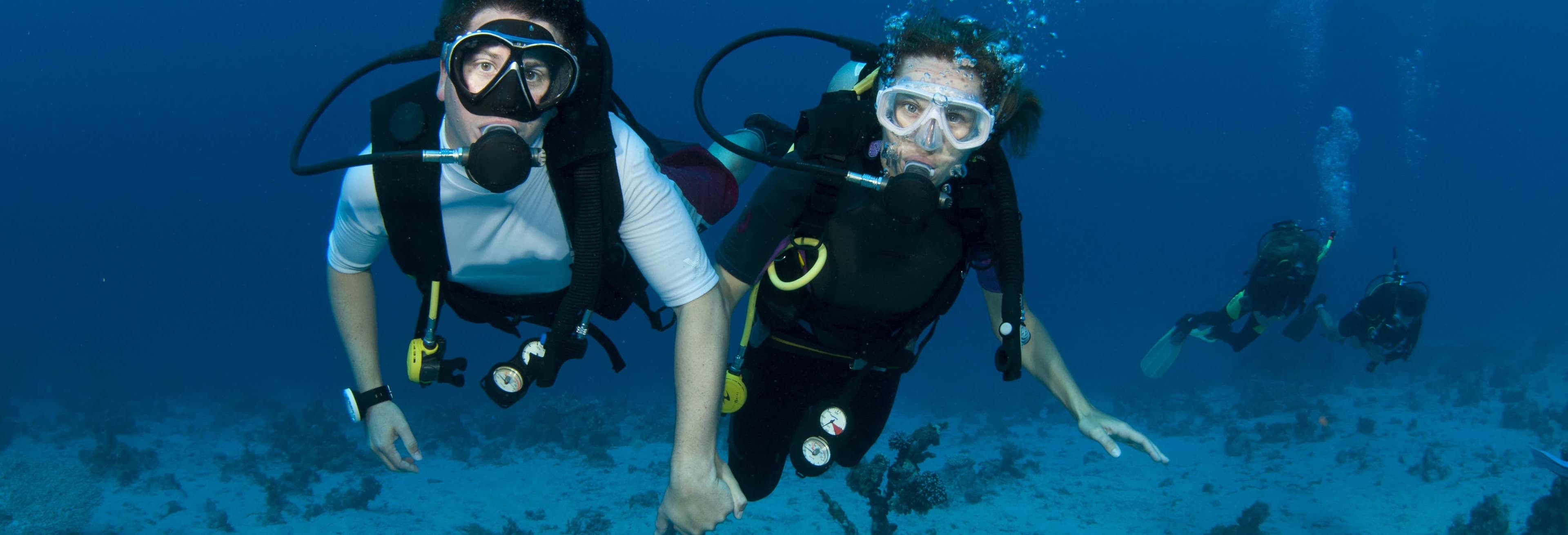 Koh Tao Scuba Diving