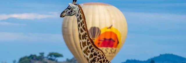 Balloon Ride Over Serengeti National Park