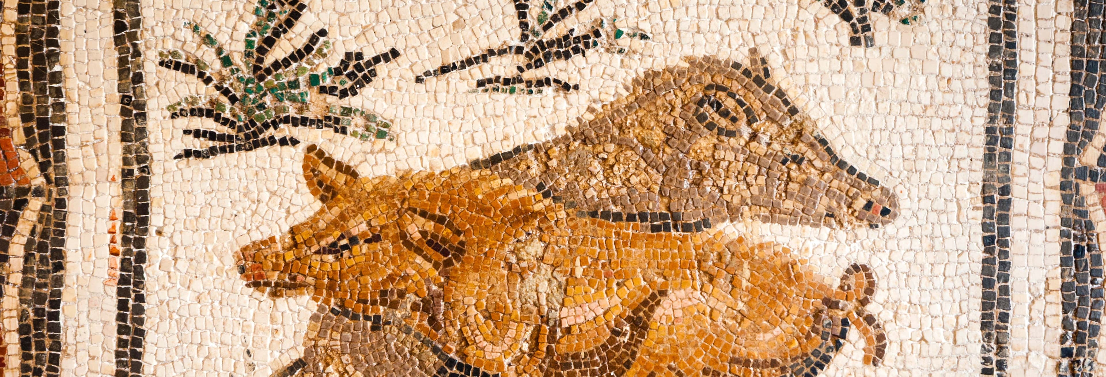 Explore the Best Bardo Museum Tours & Tunisian History