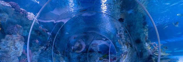 Emaar Aquarium & Underwater Zoo Tickets