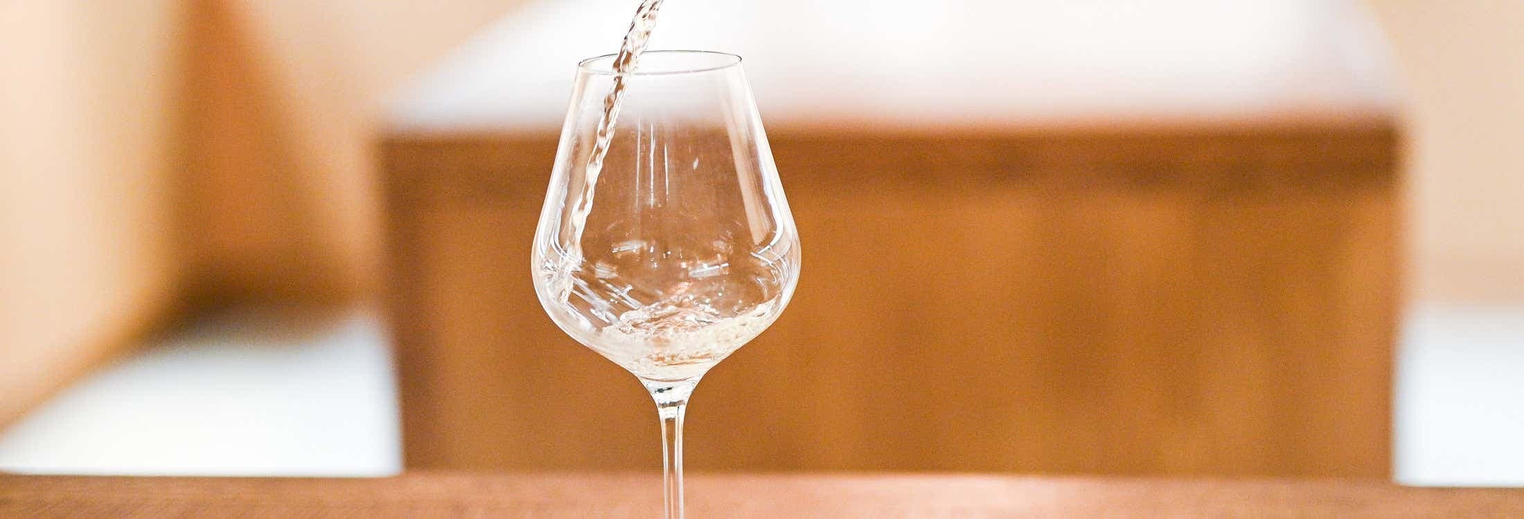 Unforgettable Wine Tasting & Tours at Bodega Bouza