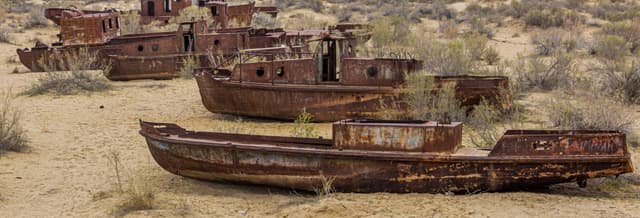 Private Day Trip to the Ship Graveyard of Moynaq