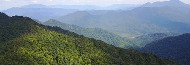 Bach Ma National Park Tour